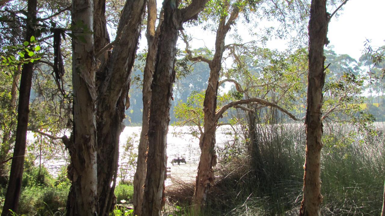Lake Russell Retreat Emerald Beach Exterior photo